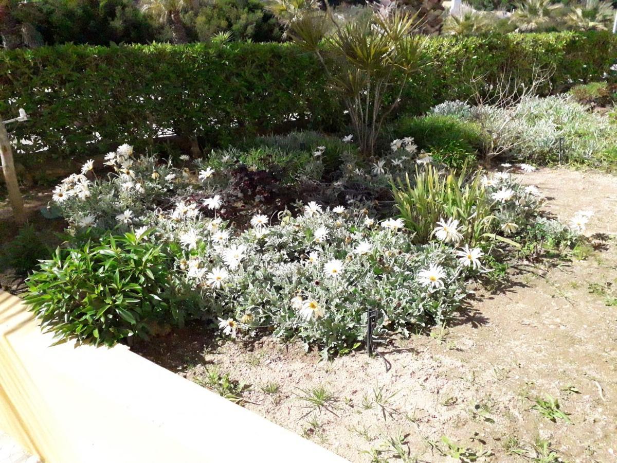 T1 Alvor/ Prainha Apartment ภายนอก รูปภาพ
